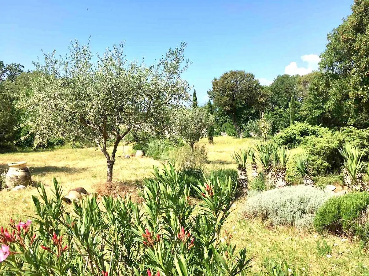 Villa House Marante Rijeka Krk Crikvenica Hreljin